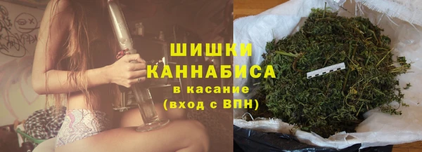 молекула духа Тутаев