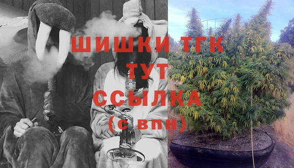 крисы Бугульма