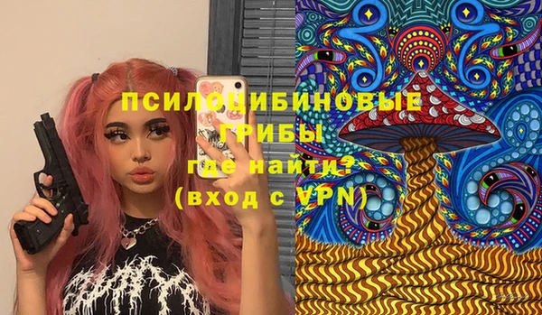 прущие крисы Тында